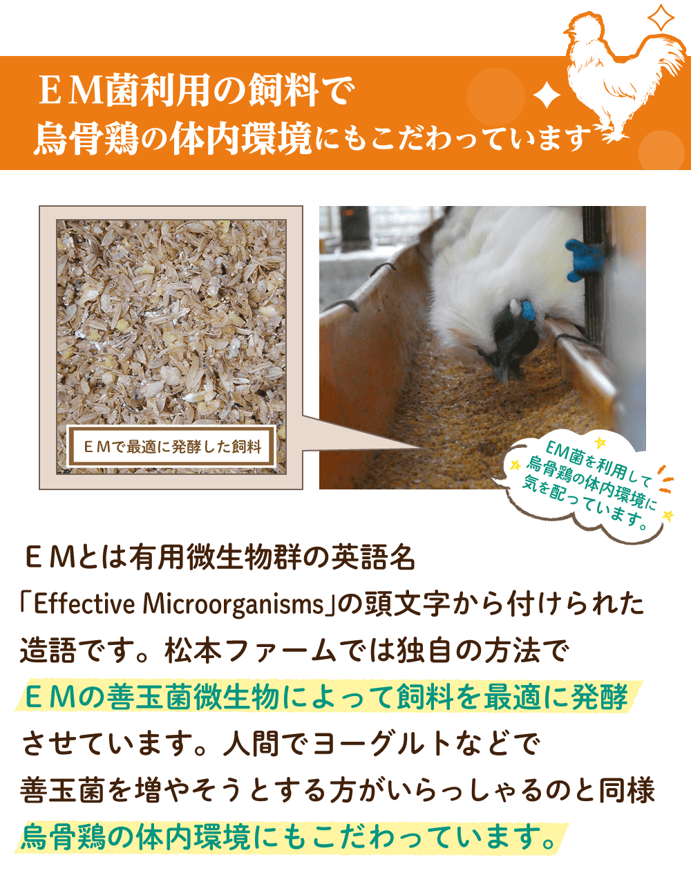 ＥＭ菌利用の飼料で烏骨鶏の体内環境にもこだわっています。EMとは有用微生物群の英語名「Effective Microorganisms」の頭文字から付けられた造語です。松本ファームでは独自の方法でEMの善玉菌微生物によって飼料を最適に発酵させています。人間でヨーグルトなどで善玉菌を増やそうとする方がいらっしゃるのと同様烏骨鶏の体内環境にもこだわっています。