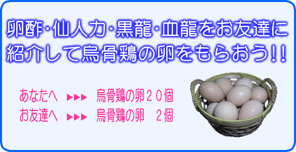 卵酢・仙人力・黒龍・血龍をお友達に紹介していただいた方に烏骨鶏の卵をプレゼント